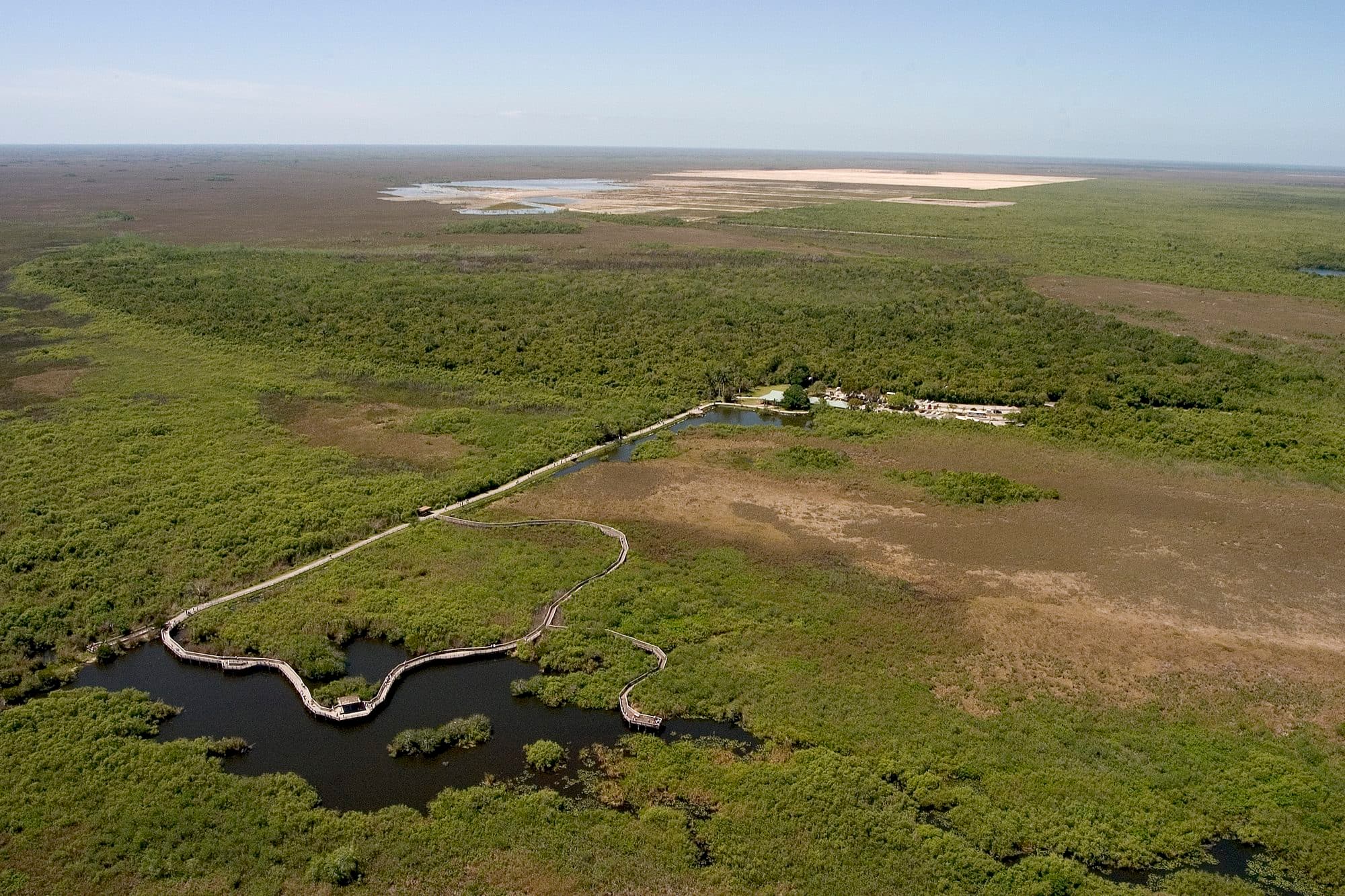 Les Everglades vues d'avion : une plaine de marais à perte de vue.