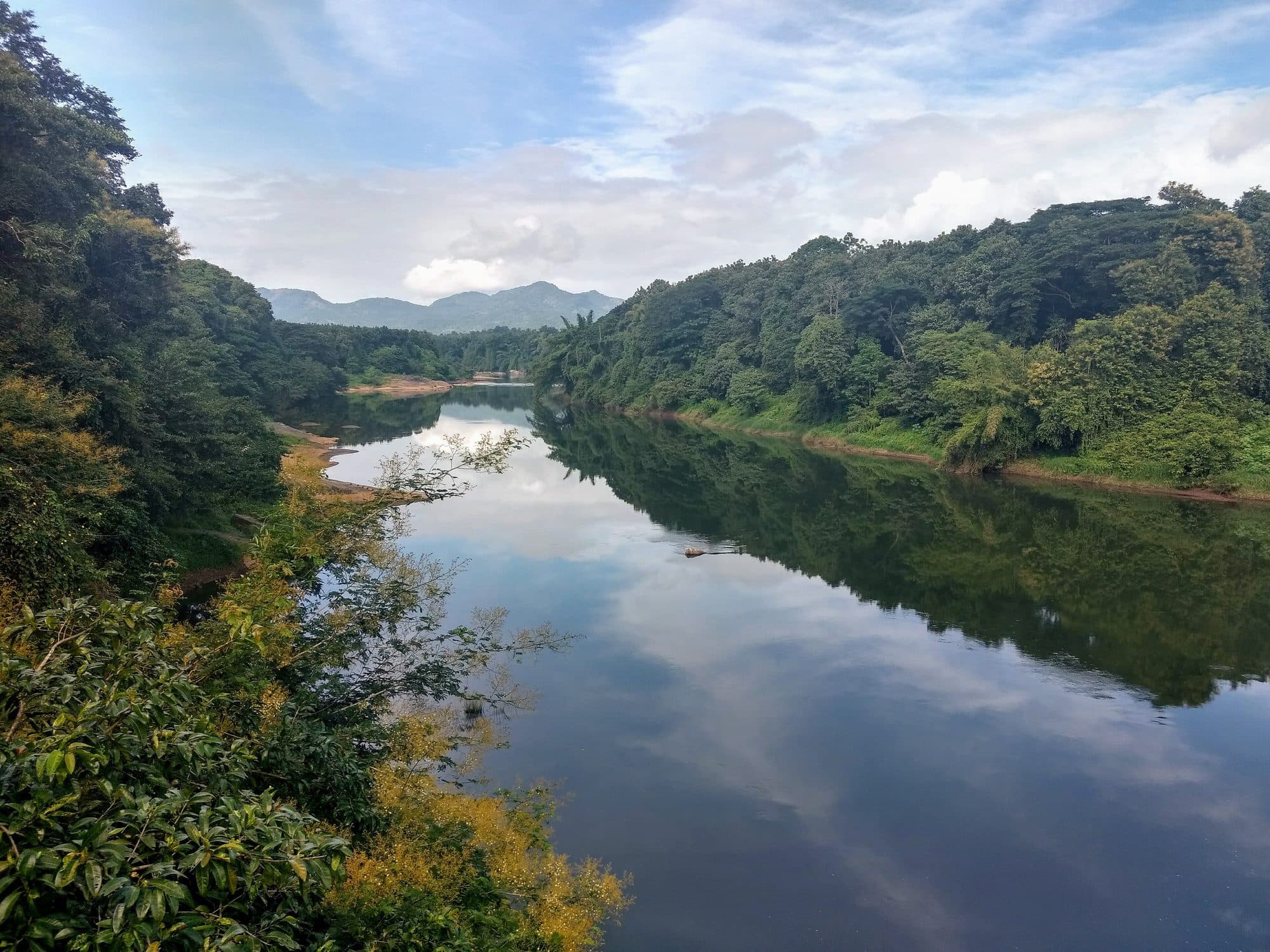 La Chaliyar près de Nilambur, au pied des Ghâts.