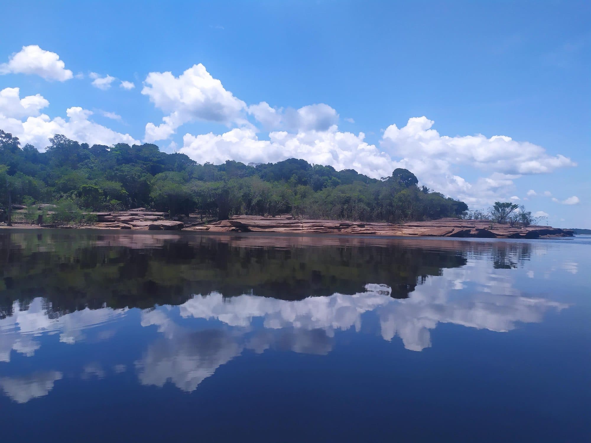 Parc national d'Anavilhanas (Novo Airão, Amazonas) : forêt et grès au bord des eaux sombres du rio Negro.