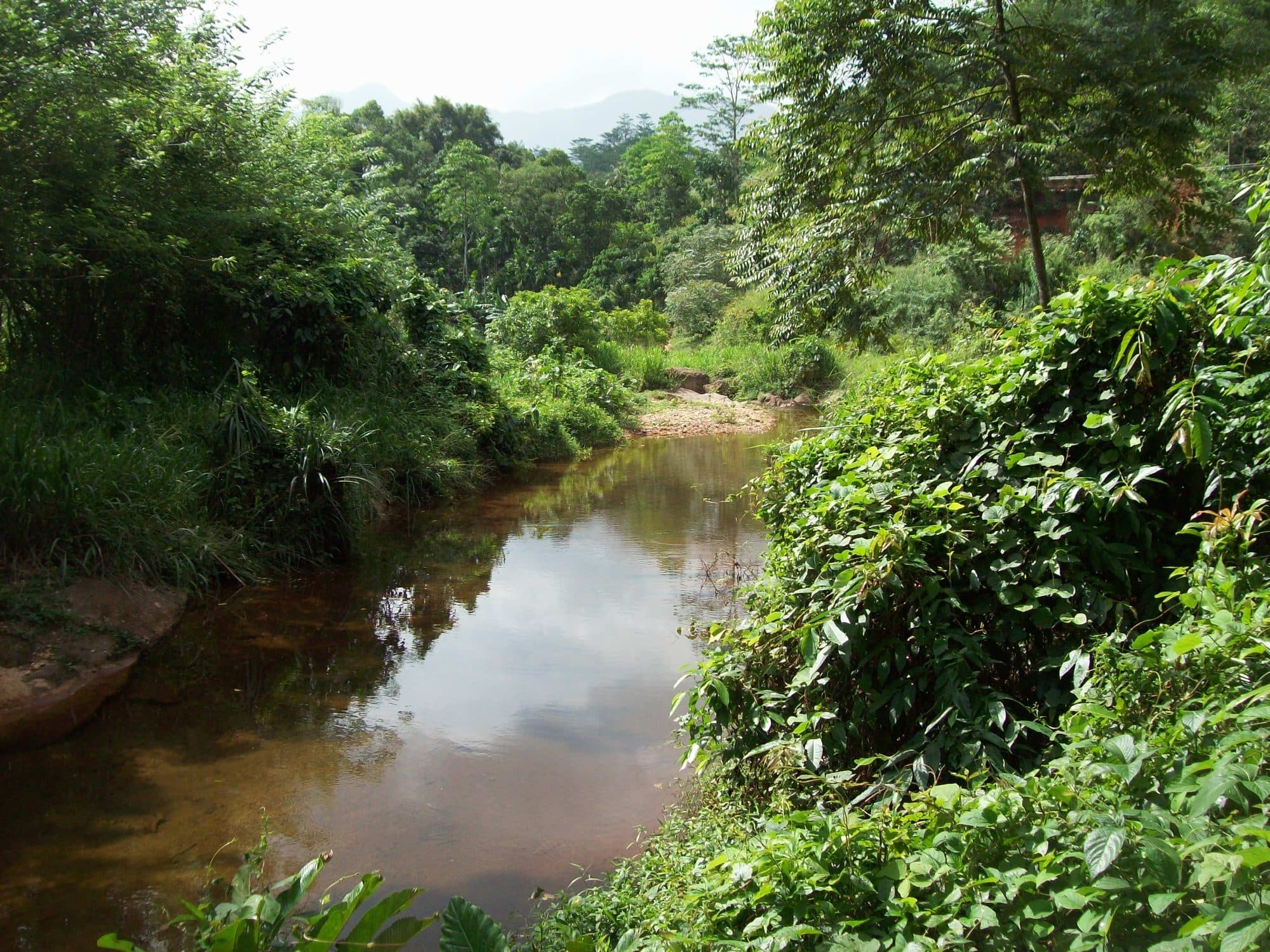 La Kataran Oya à Kitulgala, dans le bassin de la Kelani.